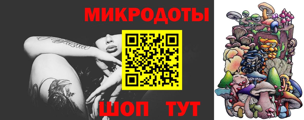 Галлюциногенные грибы Psilocybine cubensis  Вход с VPN  Советск 